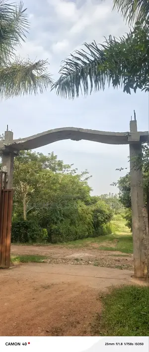 Finishing and Construction