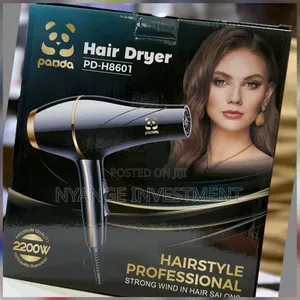 Panda Hair Dryer.