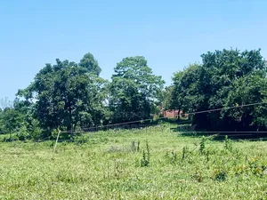 Estate in Central Division,Fort Portal City.