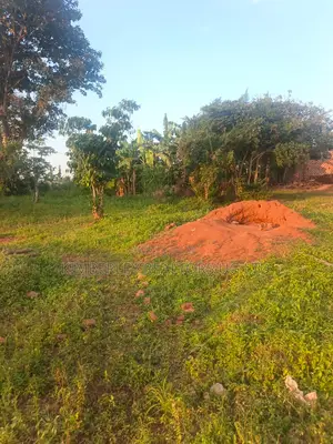 Quick Sale Land for Sale – Hoima Road