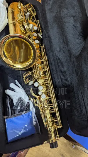 Brand New Alto Saxophone Premier