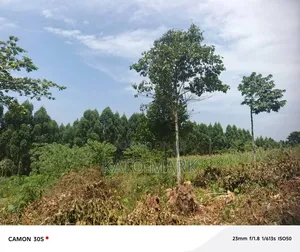 Half Acre for Sale Located at Mukono Katosi