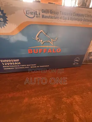 Din95mf Buffalo Battery