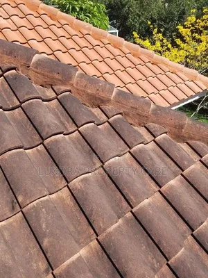 Premium Cleaning