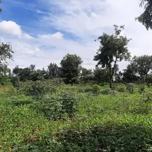Quick Sale Land – Kitende Lumuli (Entebbe Road)