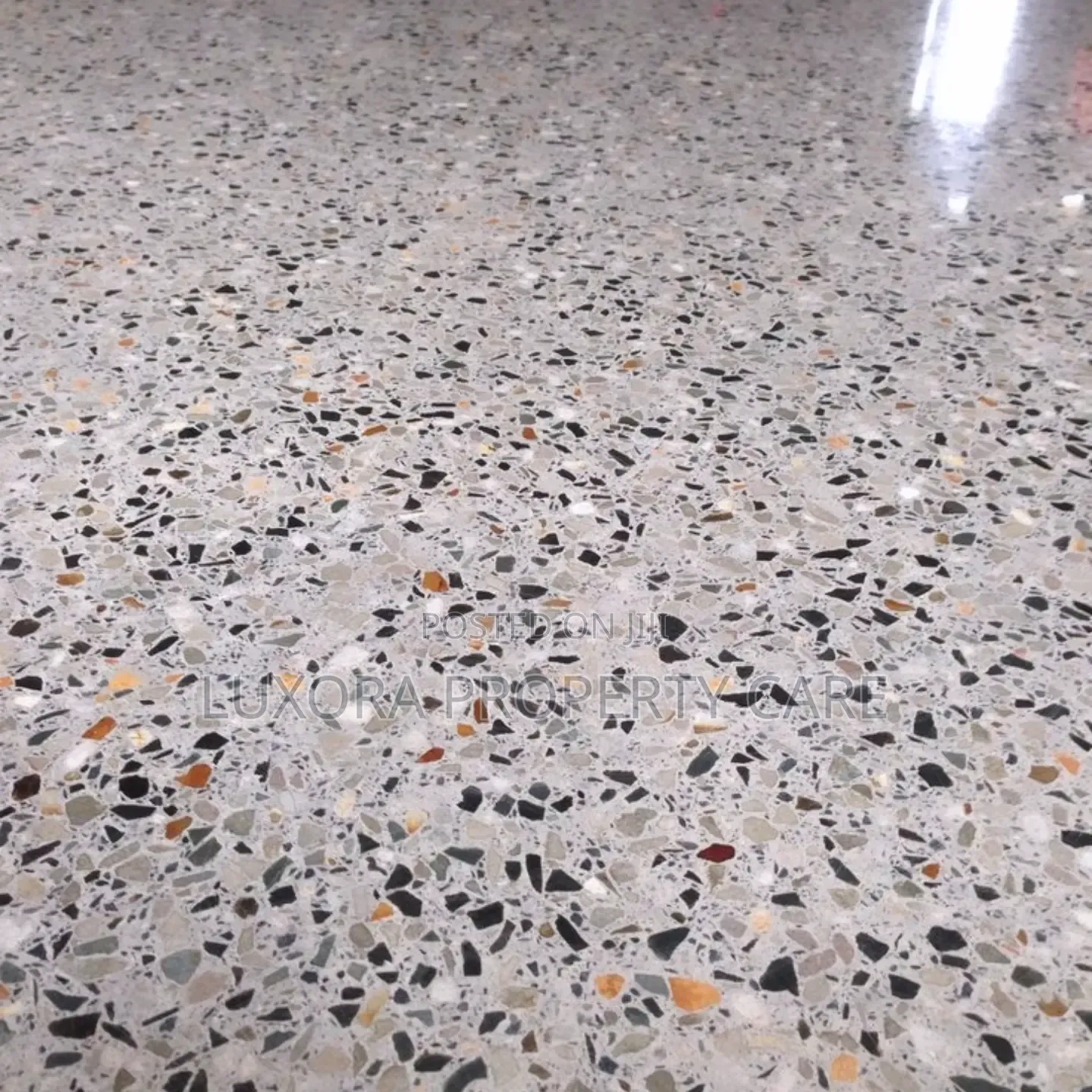 Premium Cleaning Services