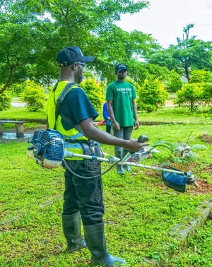 Landscaping and Gardening
