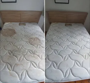 Sofa Set and Carpet Cleaning
