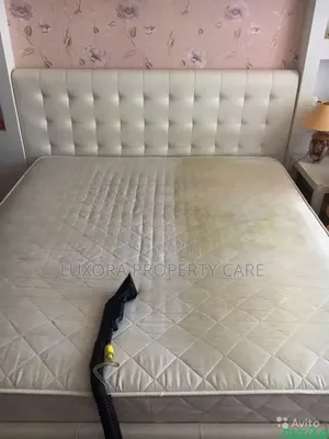 Sofa Set and Carpet Cleaning