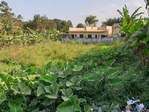 40by40ft Plot for Sale in Gayaza