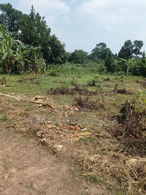 40by25 Ft Plot for Sale in Gayaza