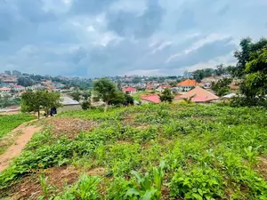  Quick Sale Plot – Jomayi Nalumunye