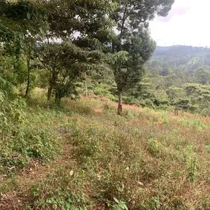  Quick Sale Plot – Jomayi Nalumunye