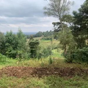 Quick Sale Lake View Plots – Bwebajja