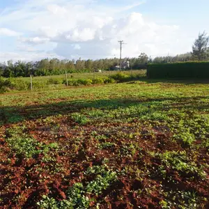 Quick Sale Plots – Munyonyo / Kigo