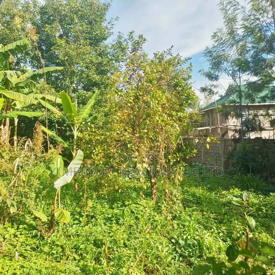 Quick Sale Plot – Lweza