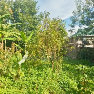 Quick Sale Plot – Lweza