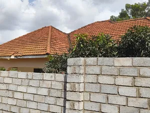 Roof Cleaning Services