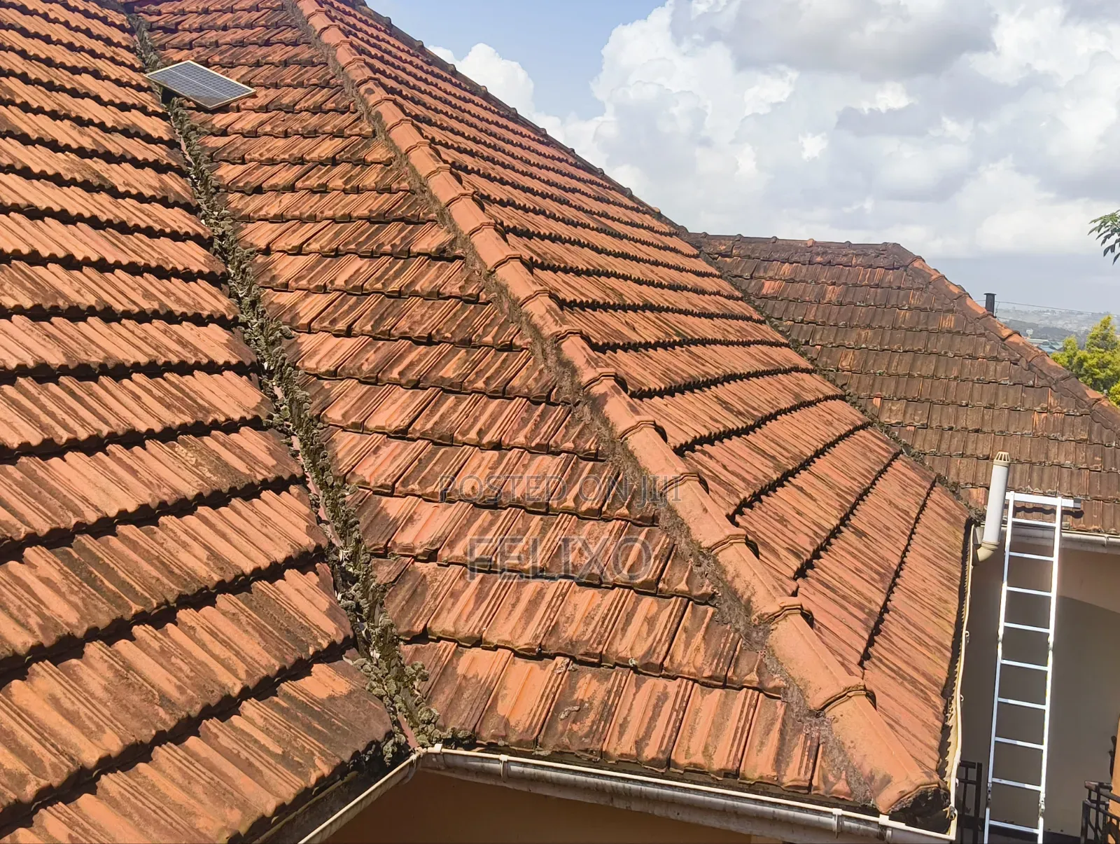 Roof Cleaning Services