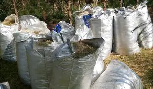 Silage Bags