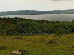 Lake View Land for Sale – Jinja Nyenga Industrial Area