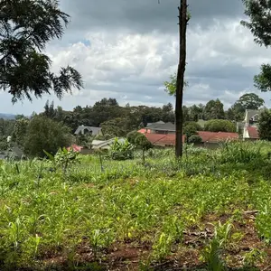  Land for Sale – Kajjansi, Entebbe Road