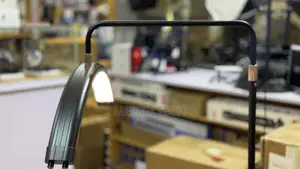 Led Moon Light Stand