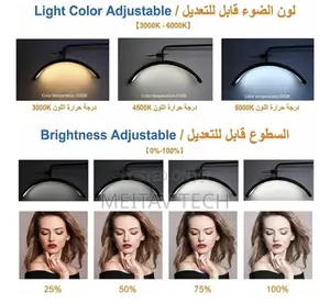Led Moon Light Stand
