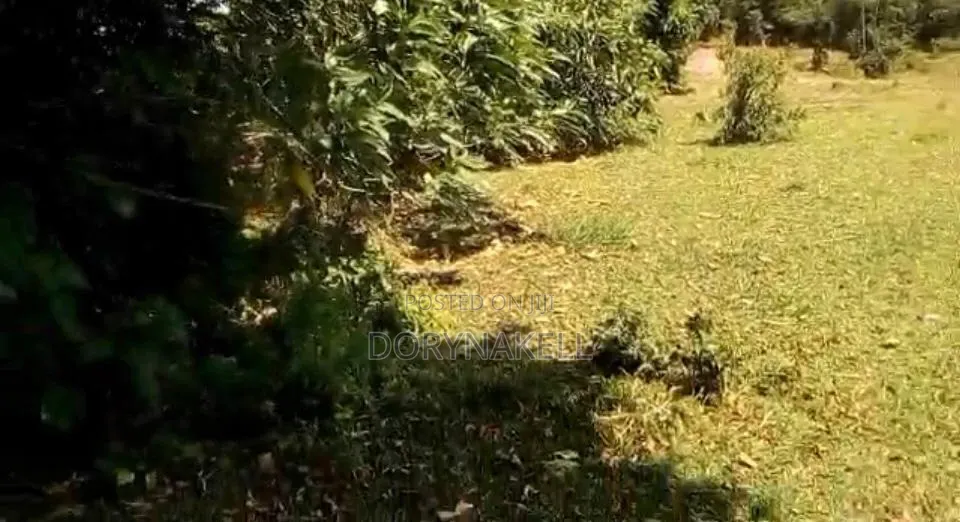 23 Acres in Kasanda District