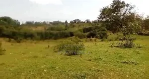 23 Acres in Kasanda District