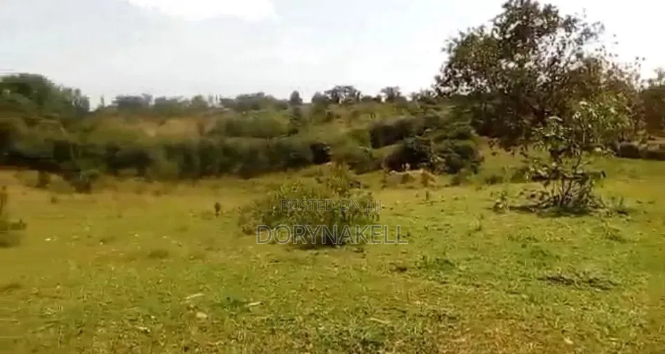 23 Acres in Kasanda District