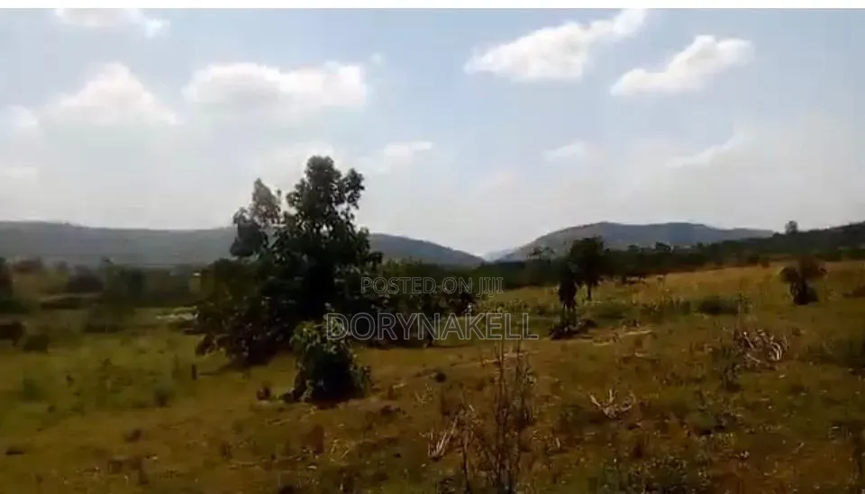 23 Acres in Kasanda District