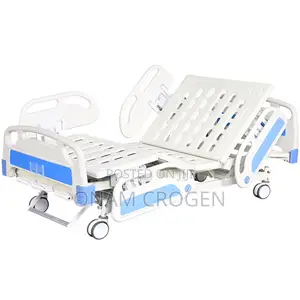 Electric Bed 804