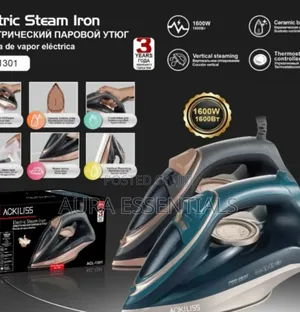 Ackiliss Electric Steam Iron