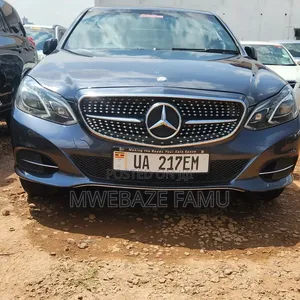 Mercedes-Benz E250 SV Premium 2014 Gray