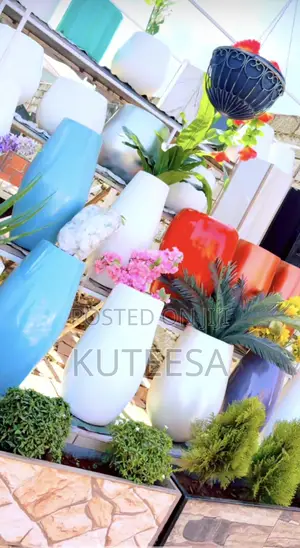 Pots and Flowers