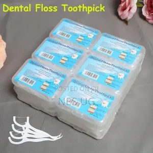 Dental Floss Tooth Picks (30pcs *12) 360pcs Floss Picks - White