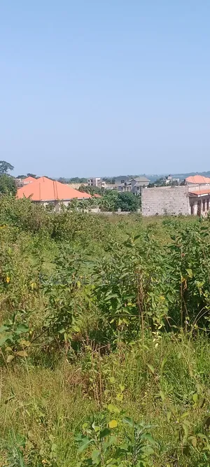 Plot Located in Bwelenga Entebbe
