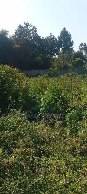 Plot Located in Bwelenga Entebbe