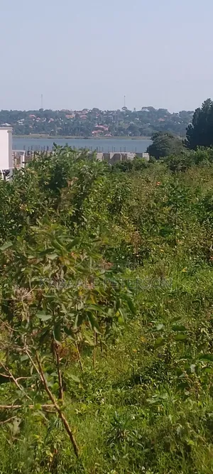 Plot Located in Bwelenga Entebbe