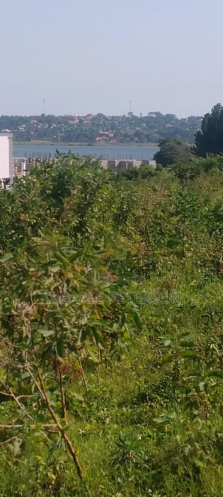 Plot Located in Bwelenga Entebbe