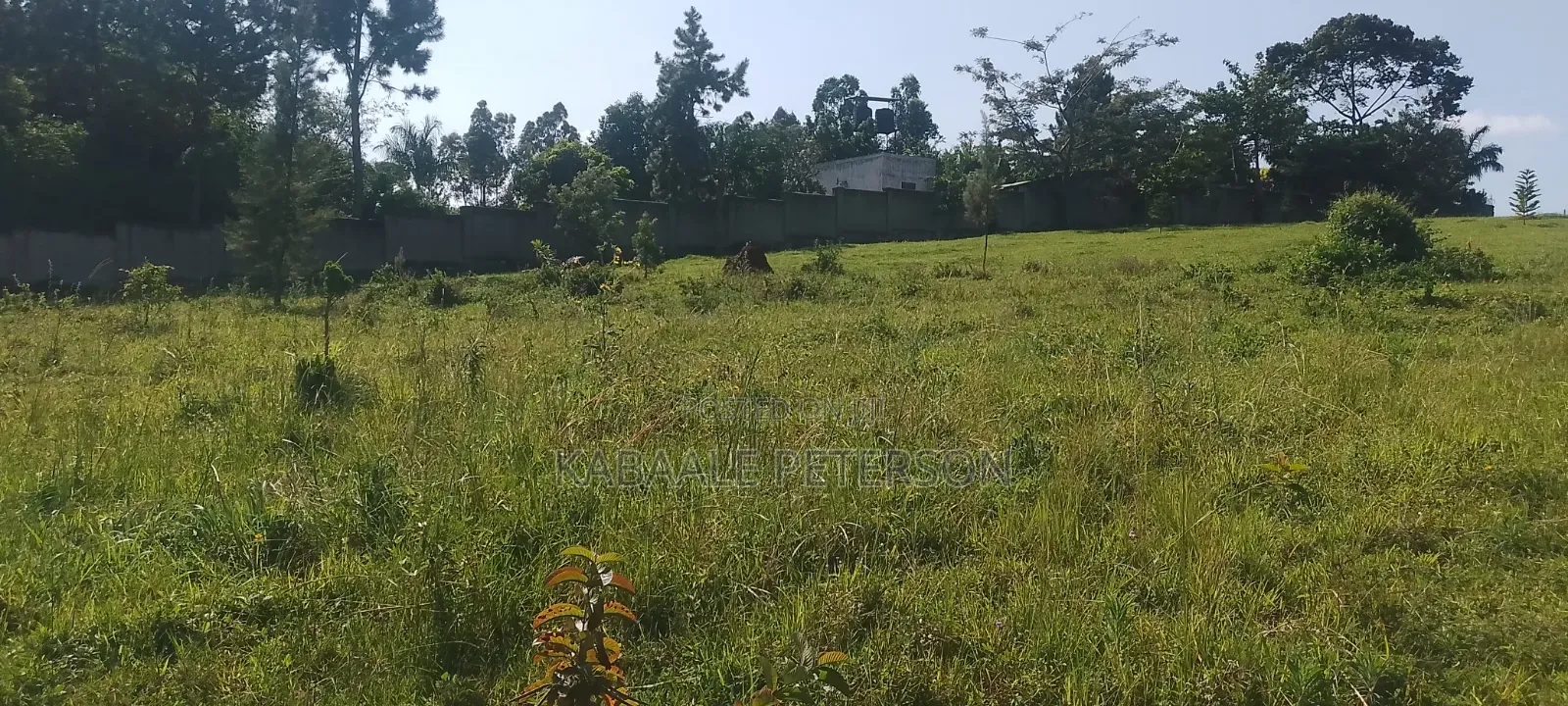 Plot Located in Bwelenga Entebbe