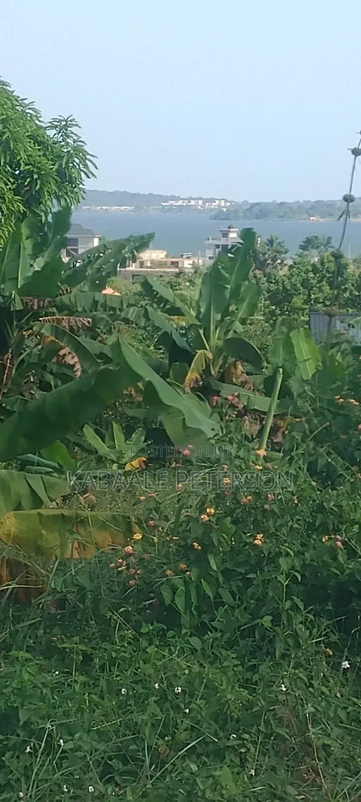 Plot Located in Bwelenga Entebbe