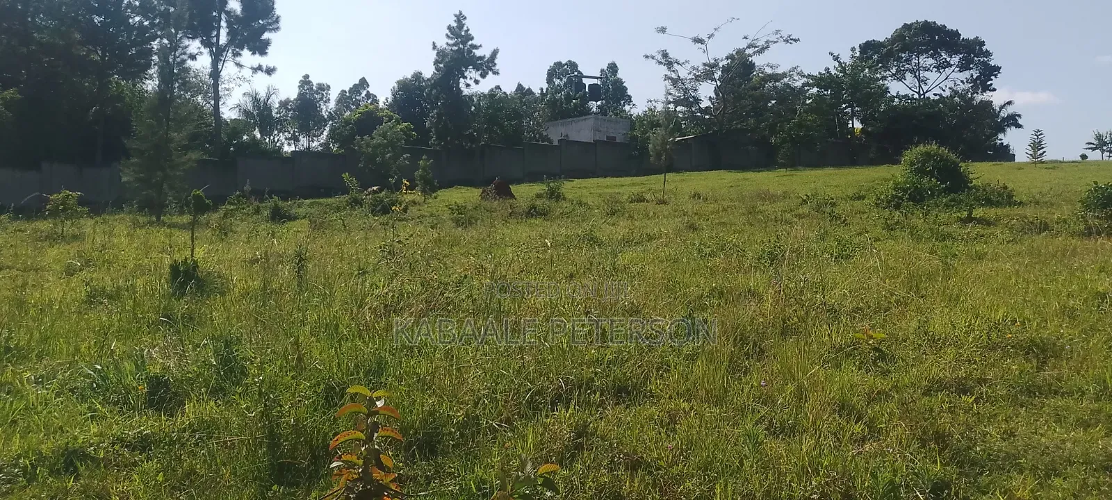 Plot Located in Bwelenga Entebbe