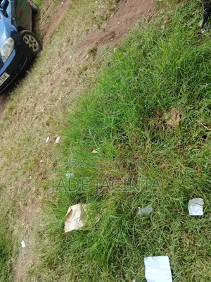 1000+ Acres for Sale in Teso
