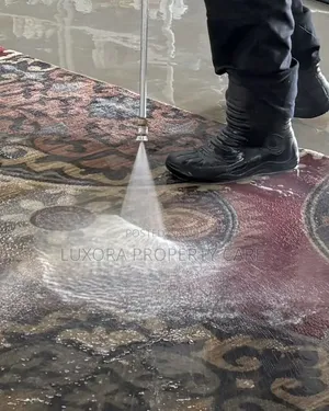 Carpet Cleaning