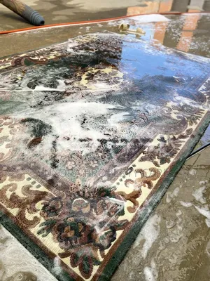 Carpet Cleaning
