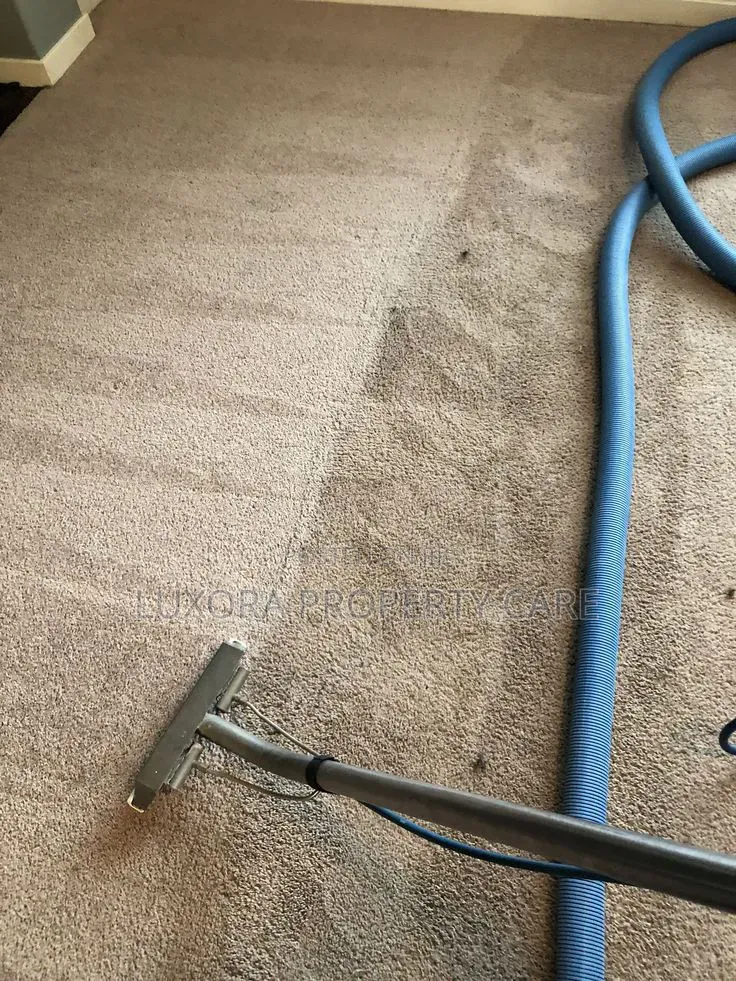 Carpet Cleaning