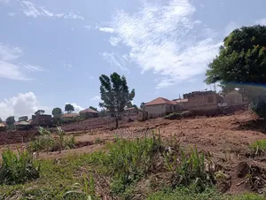20/40ft Ndejje Kanaba Quick Sale