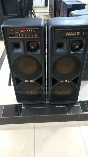 Ailipu 80000w High Power Amplified Public Speaker